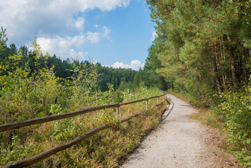 hiking trail around stone quarry Grosser Pfahl, natural heritage Viechtach, bavarian forest