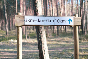 A wooden pole with an indicator of the direction and distance of a walking route in a forest park area. 