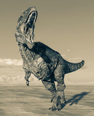 giganotosaurus is hunting down on sunset desert © DM7