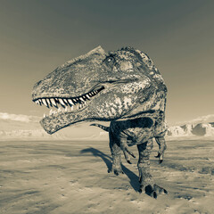 giganotosaurus is looking for the others on sunset desert © DM7
