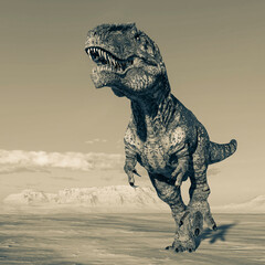 giganotosaurus is walking like a king on sunset desert