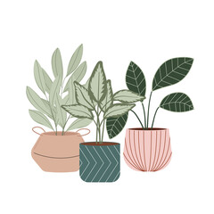 Potted house plants vector flat Illustration. Home and office interior decoration.