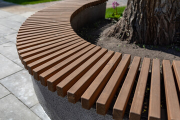 Modern bench in city park on sunny day. Semicircular bench around tree trunk. Place of rest