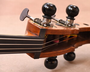 Kontrabass - Wirbeldetail 