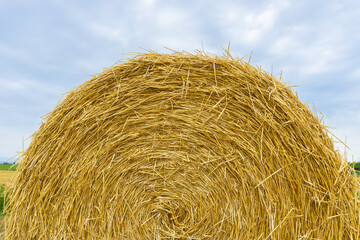 Straw bales o an the field after the harvest of wheat in a cloudy summer day