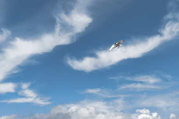 Naklejka na ściany i meble Bird in the blue sky with clouds