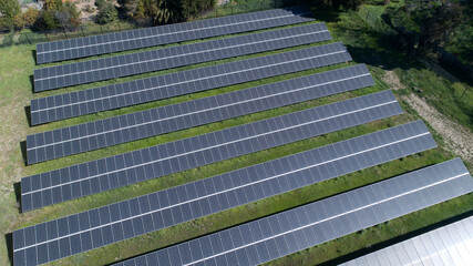 Rows of solar panels in an open field with green grass