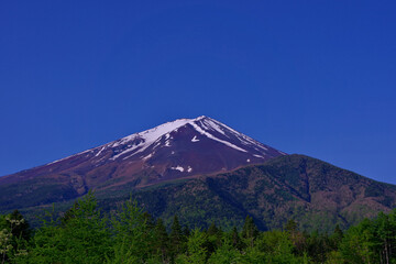 Mt. Fuji in the fresh green of the blue sky from the forest road Fuji line in Fujiyoshida City 05/26/2022