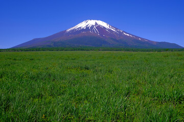 Mt.Fuji of blue sky from Nashigahara Yamanashi Japan 05/29/2022
