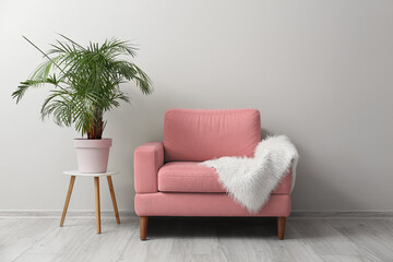 Pink armchair with fluffy plaid and houseplant near light wall