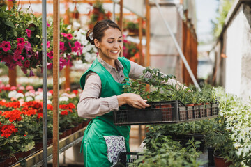 Woman Working In Plant Nursery And Taking Care Of Potted Plants