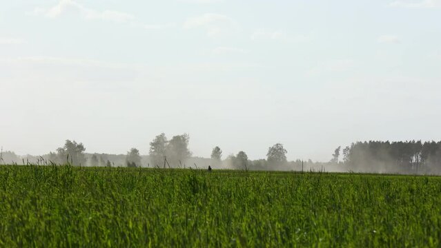 Sandstorm in the field - wind erosion of the top layer of fruitful soil. Dust storm in the field. Demolishes the fertile layer of black soil and crops. High quality 4k footage