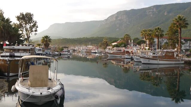 View Of A Quiet Harbor With Many Moored Boats, Palm Trees And Mountains