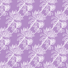 Fototapeta na wymiar Protea flowers, seamless fabric texture.