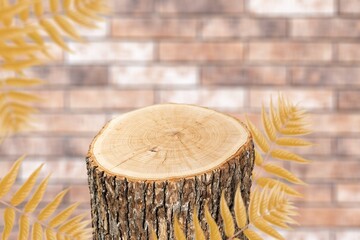Minimal modern product display on neutral background. Wood slice podium and autumn leaves.