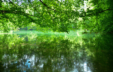 YEDIGOLLER (SEVEN LAKES) NATIONAL PARK, The Black Sea region begins east of Istanbul in Bolu, whose centerpiece is Yedigoller (Yedigöller) or Seven Lakes National Park.