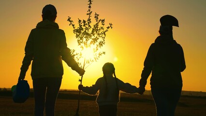 Family with shovel, watering go to plant young tree, in rays of sunset. Dad is farmer, mom is child planting tree. Happy family team planting trees in spring time. Silhouette of family with tree