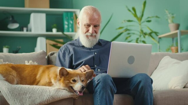 Happy Senior Man at Home Sitting on Sofa Uses Laptop Computer for Texting Articles. Elderly Man is Relaxing at Home while Playing with Adorable Corgi.Modern Devices, Technology and Retirement Concept.