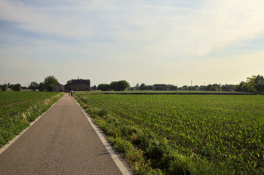 Road In The Middle Of Fields That Leads To A Country Manor In The Distance At Sunset