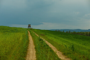Path running through the green field.Hunting box on the meadow.