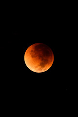 Blood moon in lunar eclipse. Red moon, dark sky 