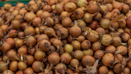 A lot of small onions..