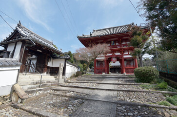 Fototapeta premium 宝塔寺 仁王門 京都市伏見区深草
