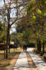 A beautiful panoramic view of Vang Vieng, Laos.