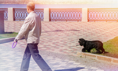 Dog walking. Walk of man and dog in the park.