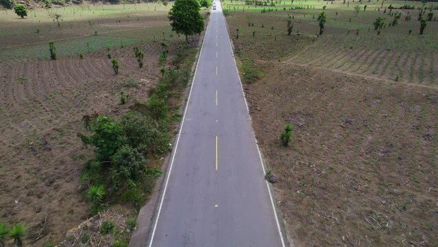 Agricultura, agricultor, sembrar, cosechar, semilla, siembra, hortalizas, naturaleza, campo, verde, fruto, plantas, verduras, Guatemala, verano, invierno. 