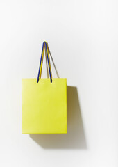 shopping bag on a white background
