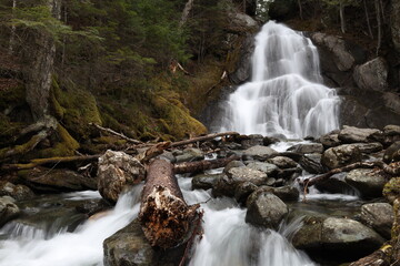 Fototapeta premium waterfall in the forest