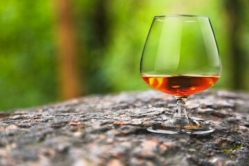 Single scotch whisky on rainforest moss in selective focus .