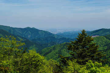Fototapeta na wymiar 奥多摩周遊道路から見る東京都心部の景観