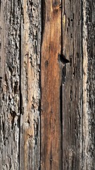 textura madera vieja 