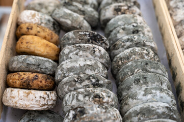 Matured french goat cheeses on farmers market in Cassis, Provence, France