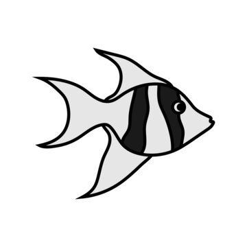 recommend clip art: angelfish icon design template vector illustration