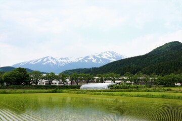 山と田んぼの風景