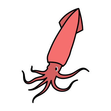 squid icon design template vector illustration