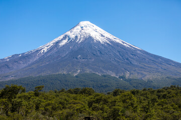 Volcán Osorno y un denso bosque nativo - obrazy, fototapety, plakaty