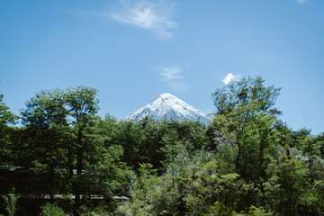 Volcán Osorno rodeado de un bosque.