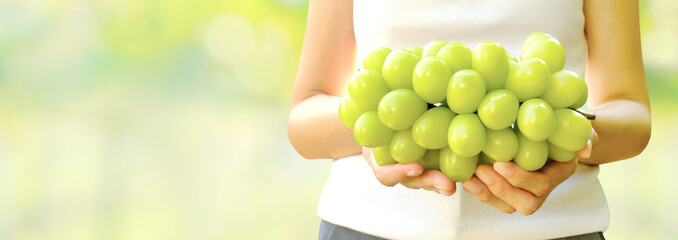 Big bunch of fresh green Shine Muscat grape in woman hand with blurred vineyard background