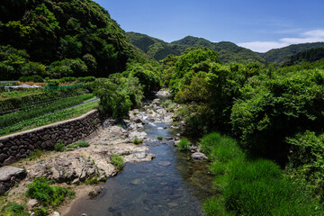 Fototapeta na wymiar 春吉の眼鏡橋から見た紫川の風景　北九州市小倉南区