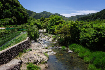 Fototapeta na wymiar 春吉の眼鏡橋から見た紫川の風景　北九州市小倉南区