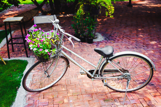 Womens Bicycle Parking at Street With Flowers Basket