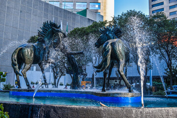 Fuente cdmx
