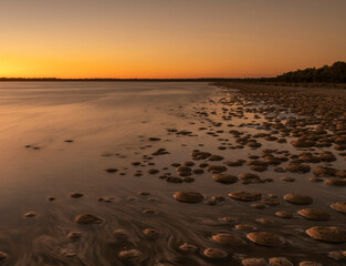 The Lake Clifton thrombolites are approximately 2,000 years old and the largest in the southern...