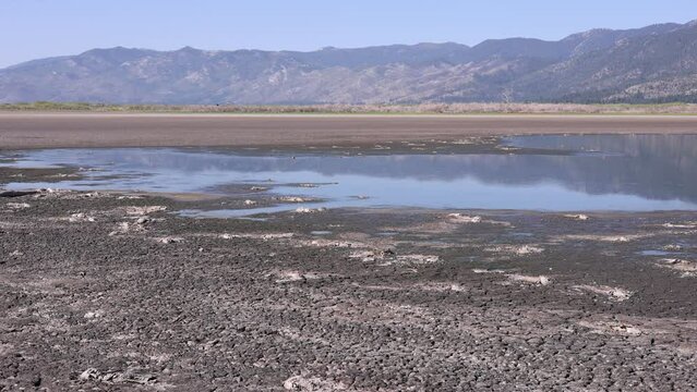 Pan right across little washoe lake drying out in summer heat wave with no water. Dead fish scattered everywhere.