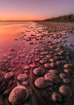 The Lake Clifton thrombolites are approximately 2,000 years old and the largest in the southern hemisphere. 