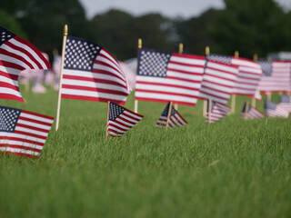 american flag on a grave